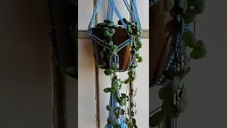 Макраме кашпо для цветов / macrame for plants