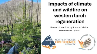 Impacts of climate and wildfire on western larch regeneration