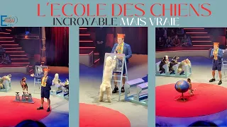 CECI N'EST PAS UN MIRACLE #actualite #culture #cirque #paris #funny