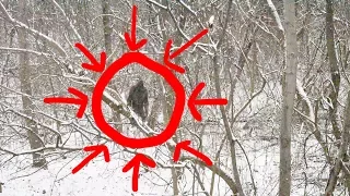 Sasquatch caught building a Shelter by Lake Superior 12-12-17