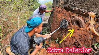 Detector Detects King Cobra's Heartbeat In Old Wall | Fishing TV