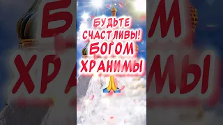 С Вербным Воскресеньем поздравления 🕊️