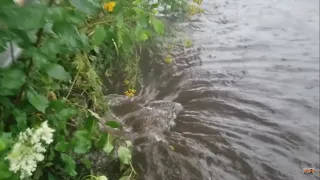 Draining A Flooded Street On A Stormy Day