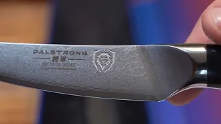 Dalstrong Filet Knife Unboxing! #shorts
