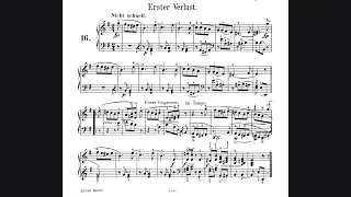 R. Schumann - Erster Verlust