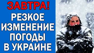 ПОГОДА НА 25 ЯНВАРЯ : ПОГОДА НА ЗАВТРА