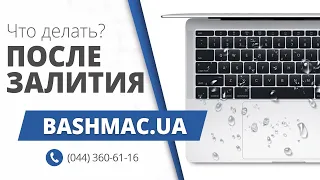 Что делать, если вы залили MacBook водой? Последовательность восстановления после залития жидкостью.