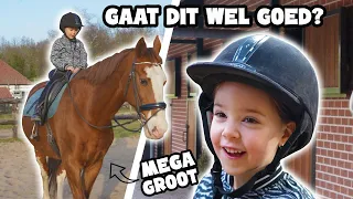 PIP GAAT HELEMAAL ALLEEN OP EEN GROOT PAARD RIJDEN !!