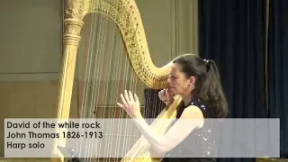 David of the white rock- John Thomas- Silke Aichhorn- harp