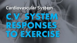 Responses to Exercise | Cardiovascular System 06 | Anatomy & Physiology