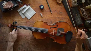 How to replace strings in the violin?