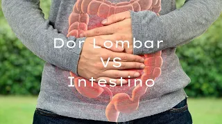 Dor Lombar VS Intestino