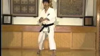 Hitoshi Kasya Basic technique.wmv