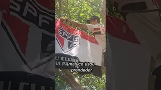 Coloquei a bandeira do SPFC na árvore #shorts #spfc #brasileirao