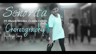 Shawn Mendes , Camila Cabello || Senorita || Arya Garg Choreography || Dance Cover