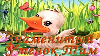 Знаменитый Утенок Тим (сказка Энид Блайтон)