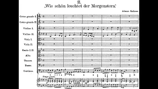 Johann Kuhnau - Cantata: Wie schön leuchtet der Morgenstern. {w/ score.}