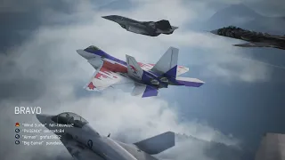 Ace Combat 7 Tour Quad Team - F-14D