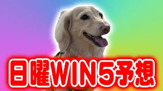 12月4日WIN5予想 #チャンピオンズカップ