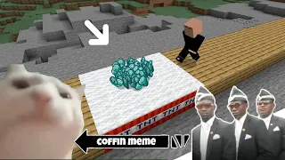 Coffin Meme Traps but Cat is Vibing - Minecraft