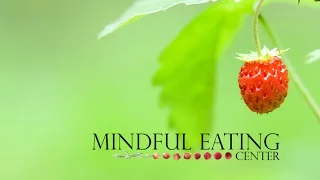 Mindful Eating intro