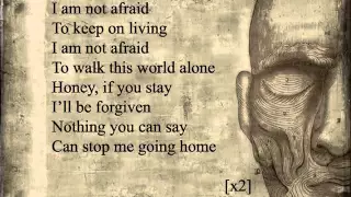 My Chemical Romance - Famous Last Words (lyrics)