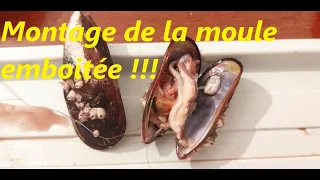 montage de la moule emboitée pour la pèche de la dorade