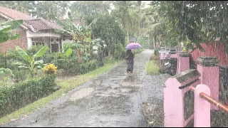 Heavy rain in my quiet Indonesian village, Cool and comfortable, Often rainy, Perfect for a five min