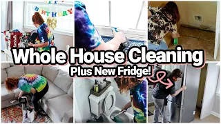 Extreme Cleaning Motivation Whole House Clean With Me 2022