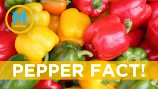 Fact: Green, yellow and red bell peppers are all the same | Your Morning