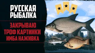 Новый Путь в РР4 #3 🔴 Поймал Много Трофеев | Проверил Леща На Комаре | Прокачал Снасти и Наживку