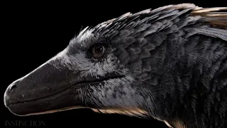 Realistic feathers in games? INSTINCTION