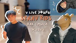 v live эфиры stray kids как смысл жизни