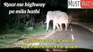 Raat me highway pe mila hathi | Elephant on highway | Tusker on NH #forest #horror #night #wildlife