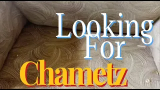 Looking For Chametz (A Passover Parody)