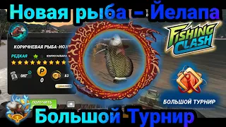 Новая рыба на Йелапа и страдание в Большом Турнире / Fishing Clash: Реальная рыбалка