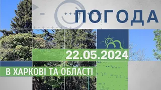 Прогноз погоди в Харкові та Харківській області на 22 травня