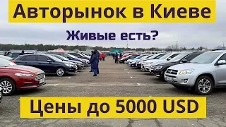 Авторынок в Киеве. Цены на АВТО до 5000 $ | Февраль 2020 | Автобазар