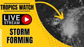 Tropics Watch LIVE: Tropical Storm Likely As Hurricane Season Enters August (2023)