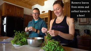 Make French Wood Sorrel Soup