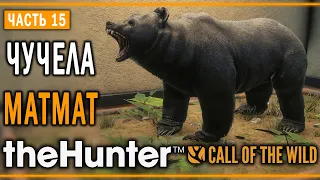 theHunter Call of the Wild #15 🐻 - Медвежьи Объятья - Кoмпозиции из Чучeл