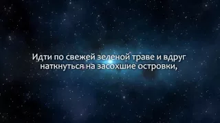 К чему снится Зеленый (Сонник, Толкование снов)