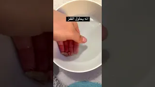 اشتريت لخلودة اصغر ضفدع بالعالم😱(كان رح يهرب منا)