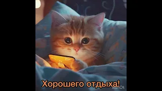 Спокойной ночи 🌙 Приятных и нежных снов 💕💕💕