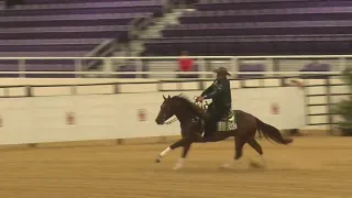 WED 080322 Open Futurity   shawn flarida   deep freeze