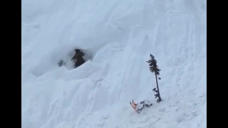 Skier Tumbles down Slope and Crashes intoTree