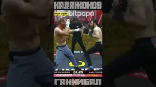 Knockdown Top Dog 23 - Кантемир Калажоков vs Наби Ганнибал Гаджиев #shorts #topdog #bareknuckle