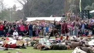 The Battle of Clontarf Festival 2014