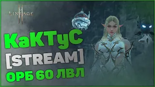 [Lineage 2M] Орб 60 лвл | Барц 1 | KaKTyC - Соло и Пати Данжи, Фарм ЛОА5