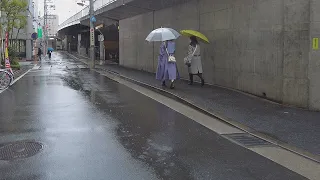 Tokyo Rain Walk: Sleep & Unwind in the City - ASMR 8 Hours